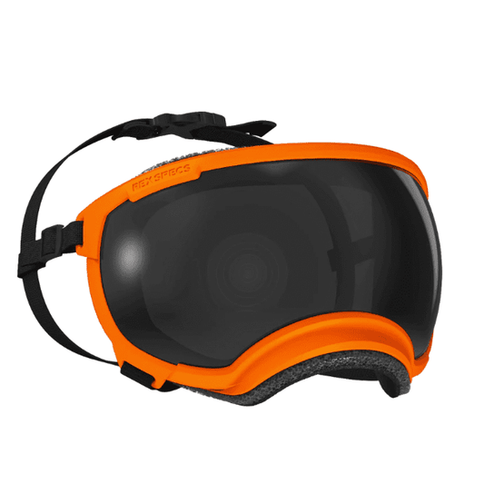 Rex Specs V2 Goggle