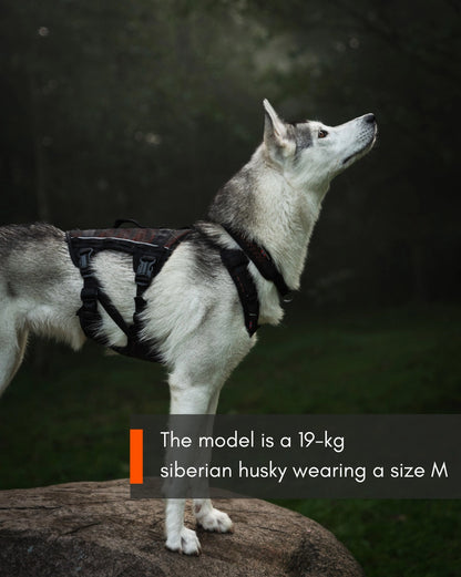 Non-stop dogwear Rock Harness Long