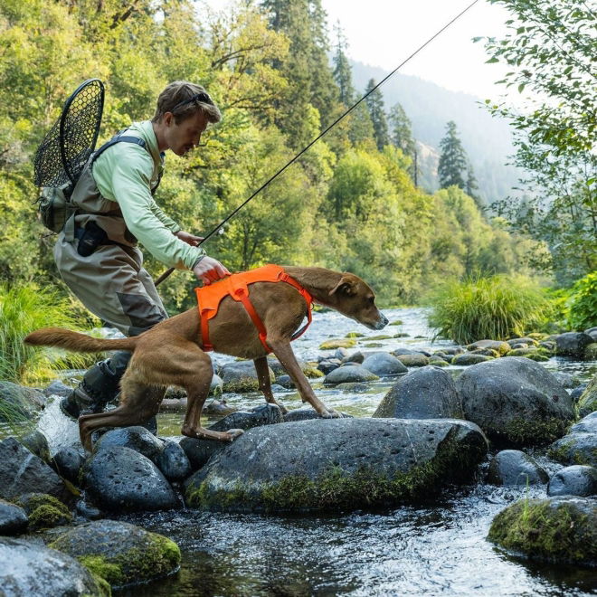 Ruffwear Web Master™ Dog Harness