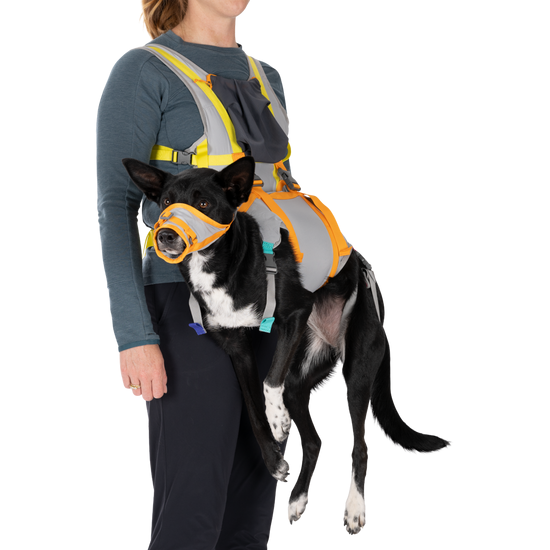 Ruffwear BackTrak Dog Evacuation Kit