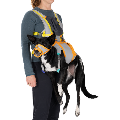 Ruffwear BackTrak Dog Evacuation Kit