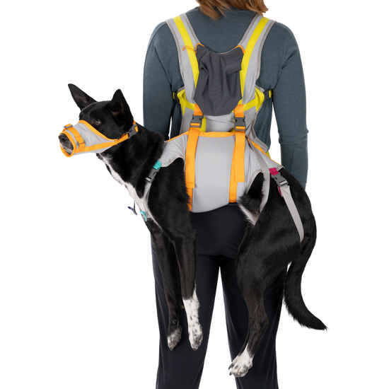 Ruffwear BackTrak Dog Evacuation Kit