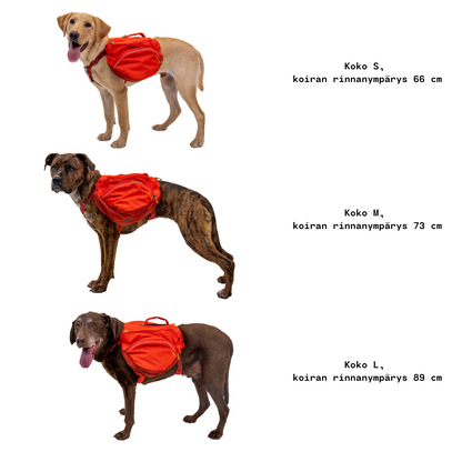 Ruffwear Palisades Dog Backpack