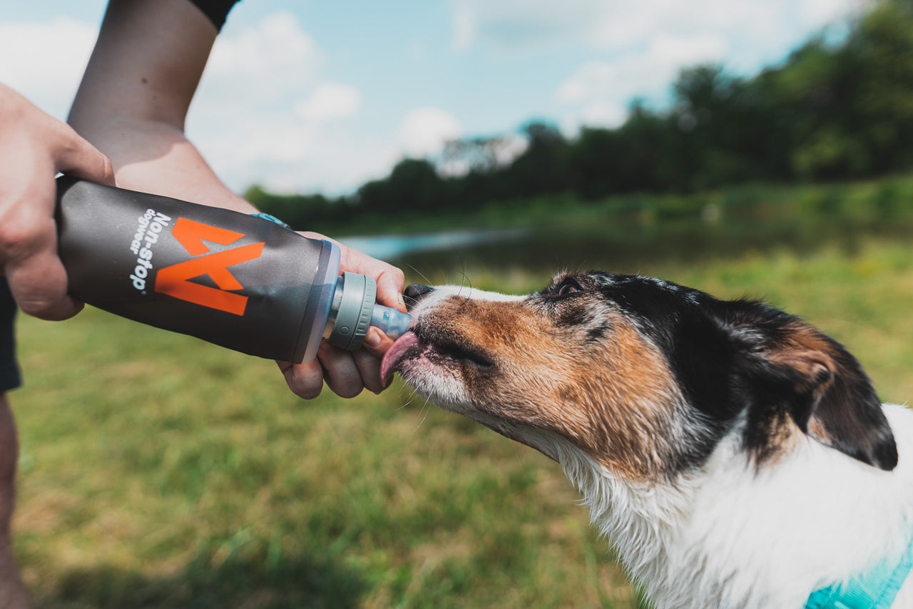 Non-stop dogwear Soft Flask Bottle 500 ml