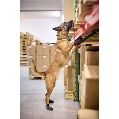 Non-stop dogwear Solid Collar WD