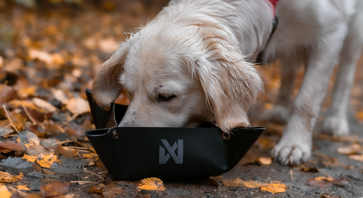 Non-stop dogwear Trekking Bowl