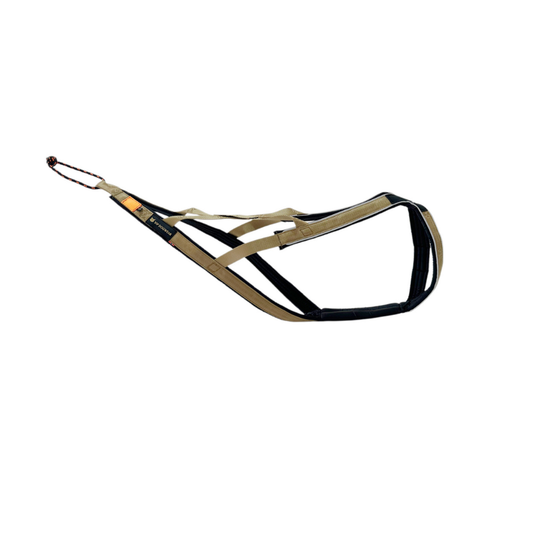 golden colored pulling x-back harness for dogs