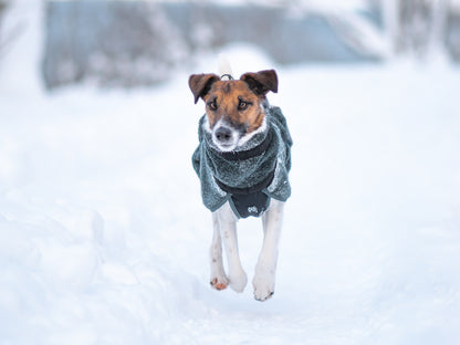 Non-stop dogwear Wool Dog Jacket
