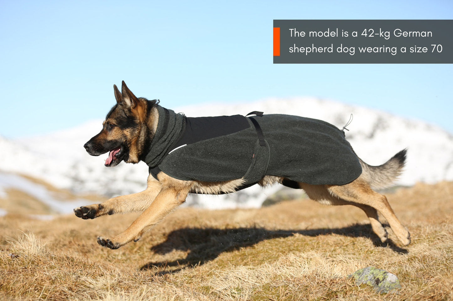 Non-stop dogwear Wool Dog Jacket