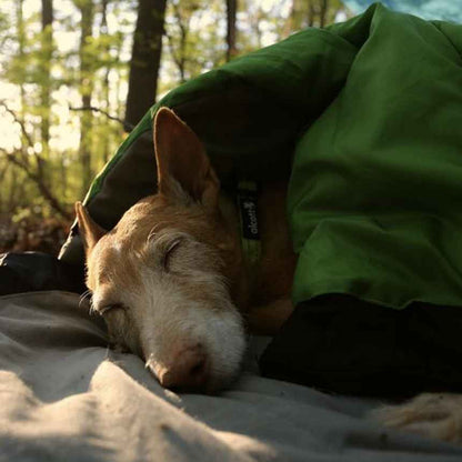 Alcott Adventures Explorer Sleeping Bag