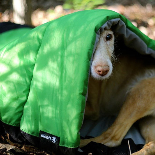 Alcott Adventures Explorer Sleeping Bag