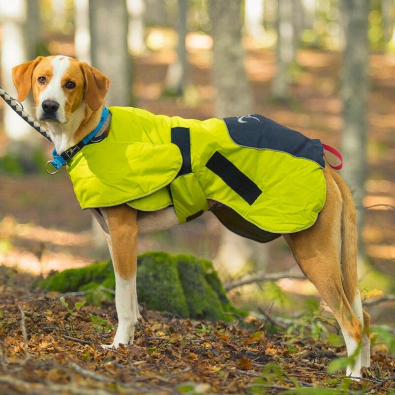 Axaeco Ice-Olation Dog Coat