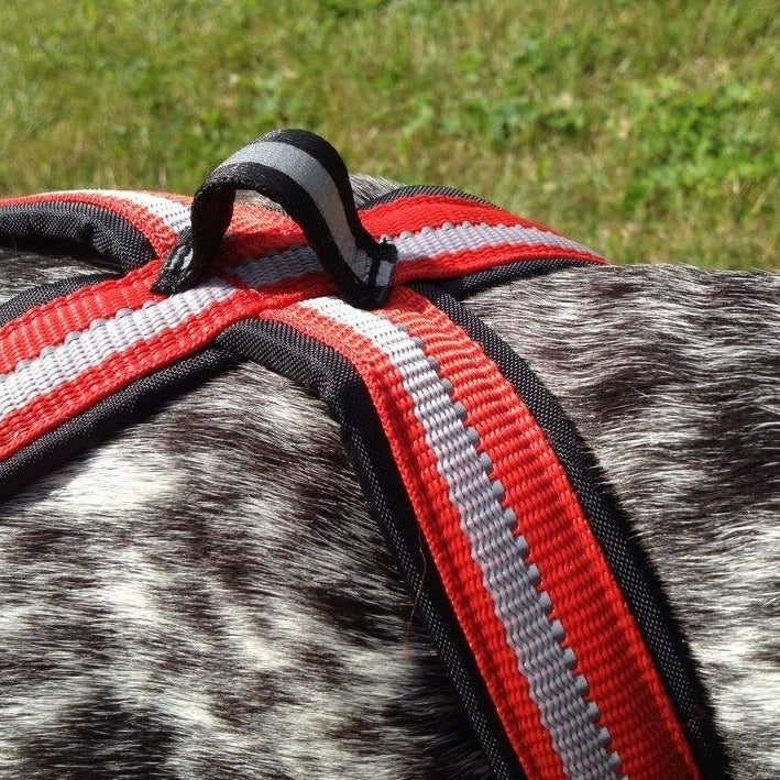 Dragråttan Combined Harness