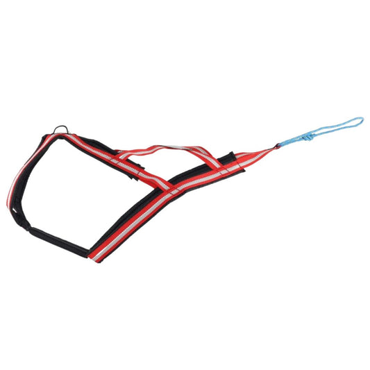 Dragråttan X-Harness