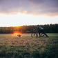 Kickbike Cross 29er