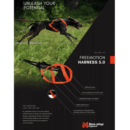 Non-stop dogwear Freemotion Harness 5.0
