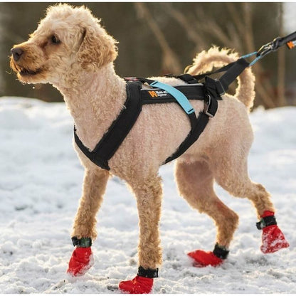 Non-stop dogwear Freemotion Harness