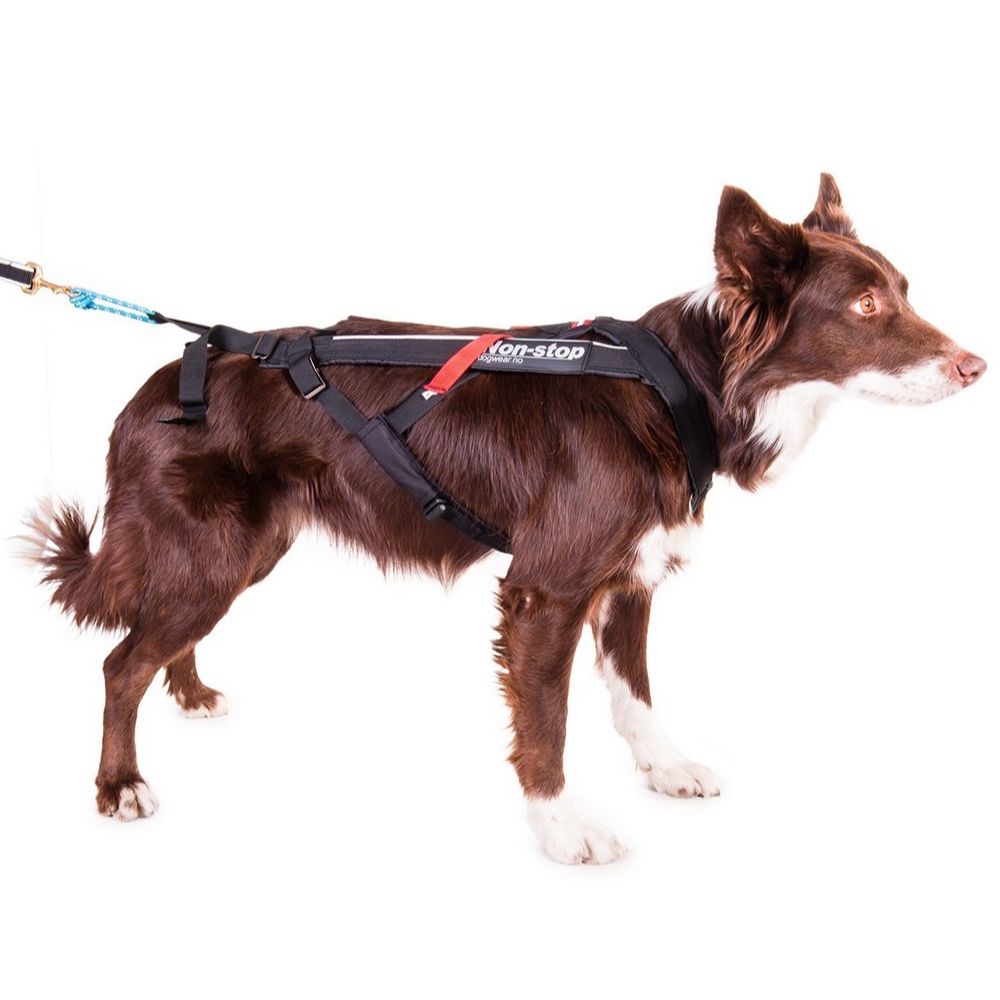 Non-stop dogwear Freemotion Harness