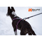 Non-stop dogwear Line Harness 5.0