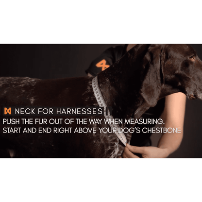 Non-stop dogwear Line Harness 5.0