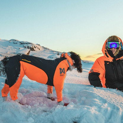 Non-stop dogwear Protector Snow