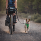 Ruffwear Roamer Bungee Leash