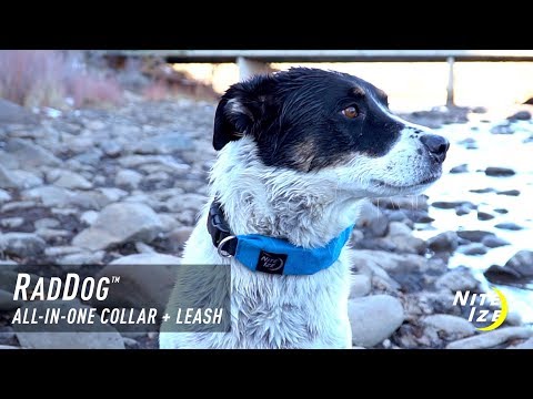 Nite Ize RadDog All-in-One Collar Leash